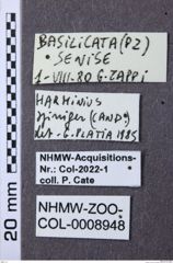 Etiketten zu Harminius spiniger (NHMW-ZOO-COL-0008948)